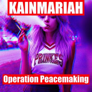 Operation Peacemaking