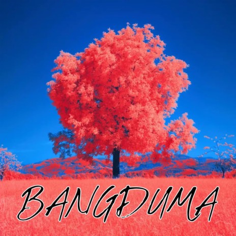 Bangduma | Boomplay Music