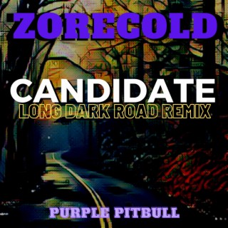 Candidate (Long Dark Road Remix)