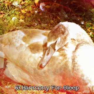 63 Harmony For Sleep