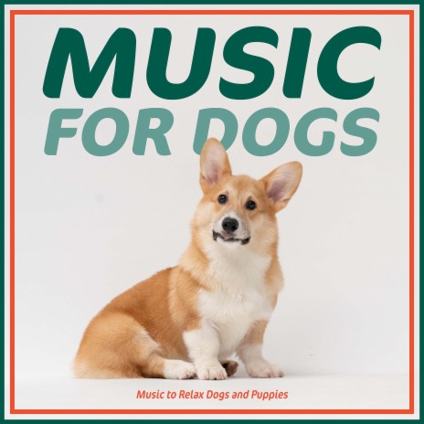 RelaxMyDog - Tiny Paws ft. Dog Music Dreams MP3 Download & Lyrics | Boomplay