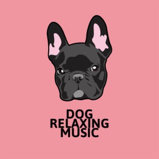 Dog Relaxing Music: French Bulldog, Chihuahua, Pug, Yorkshire Terrier