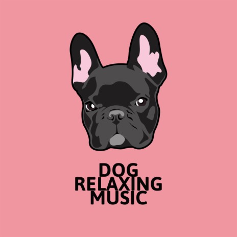Pets Background Music | Boomplay Music