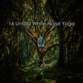 16 Untold White Noise Yoga
