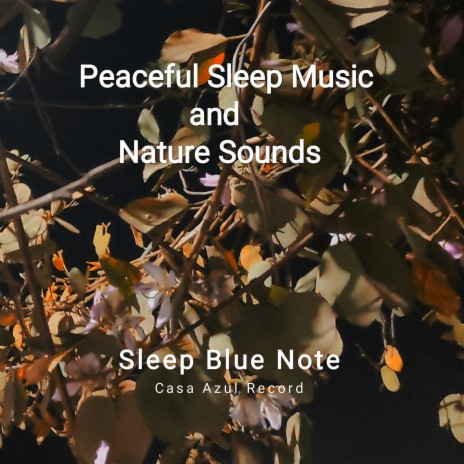 Peaceful Sleep Music And Nature Sounds, Pt. 5