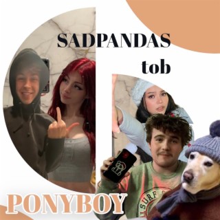 sadpandas