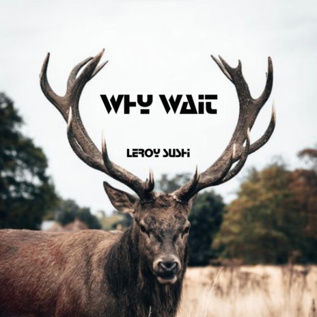 Why Wait | Boomplay Music