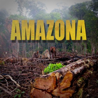 Amazona