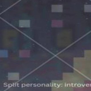 split personality: introvert