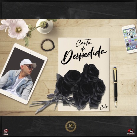 Carta De Despedida | Boomplay Music