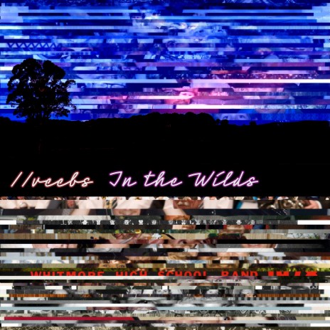 In the Wilds | Boomplay Music