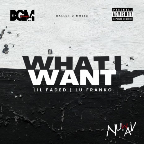 What I Want ft. Lu Franko | Boomplay Music
