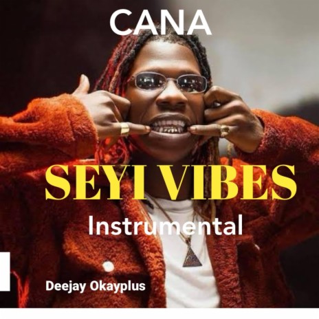 Seyi Vibes Cana Instrumental | Boomplay Music