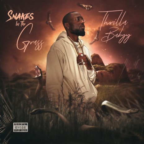 Snakes In The Grass | Boomplay Music