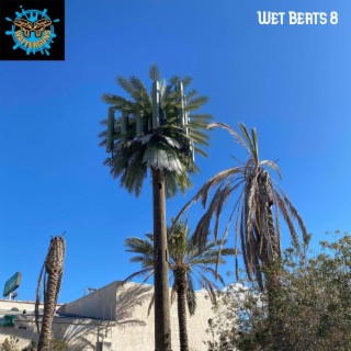 Wet Beats 8