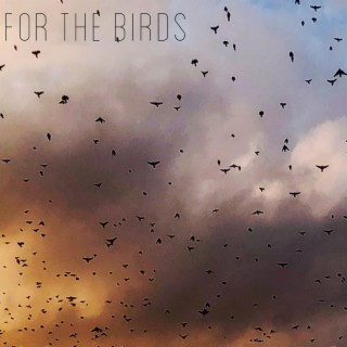 For The Birds (Acoustic) lyrics | Boomplay Music