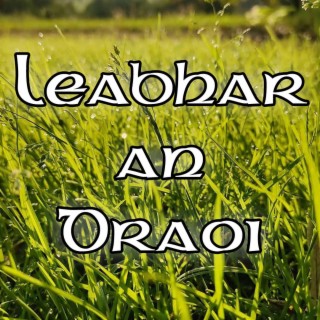 Leabhar an Draoi