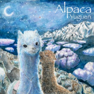 Alpaca