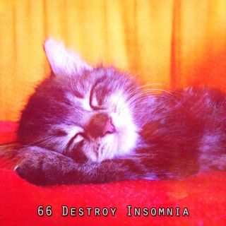 66 Destroy Insomnia