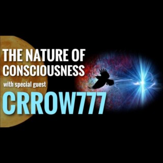 Rebunked #042 | Crrow777 | The Nature of Consciousness