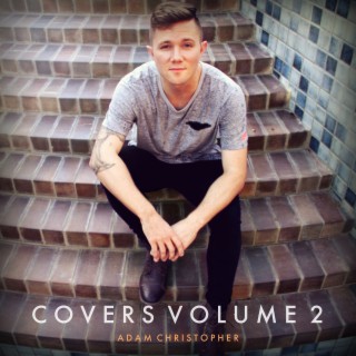 Covers, Vol. 2