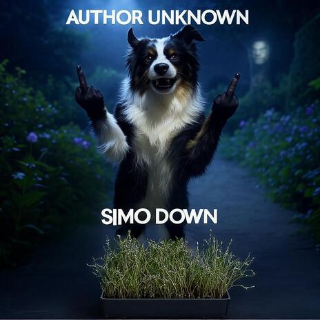 SIMO DOWN | Boomplay Music