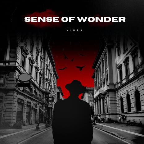 Sense of Wonder | Boomplay Music