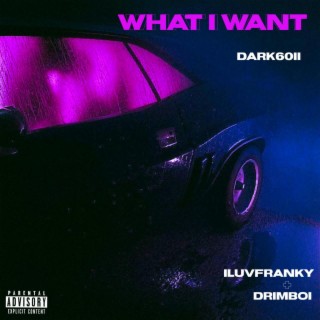 What i want ft. Iluvfranky & Darkk6oii lyrics | Boomplay Music