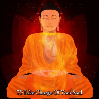 75 Take Charge Of Your Soul