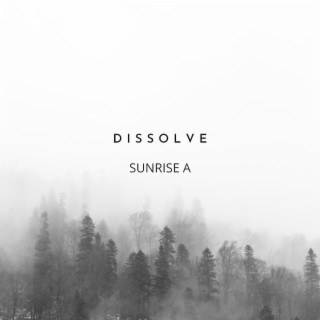 Dissolve