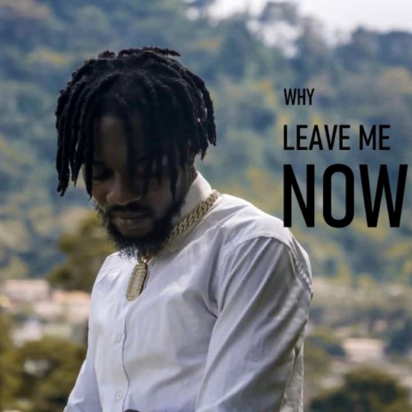 Why Leave Me Now | Boomplay Music