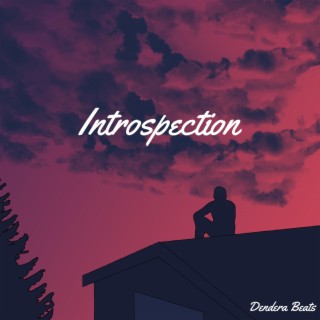 Introspection