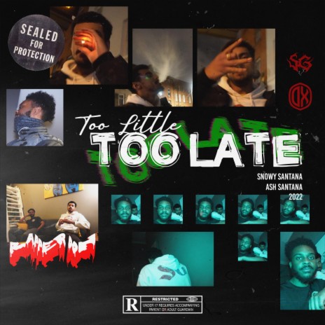 Too Little Too Late ft. Ash Santana | Boomplay Music