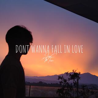 Dont Wanna Fall In Love