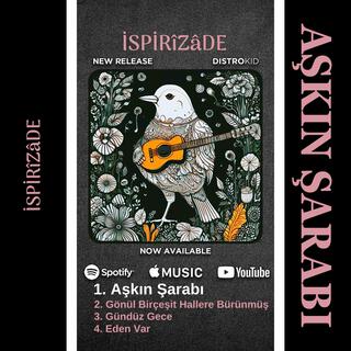 Aşkın Şarabı lyrics | Boomplay Music