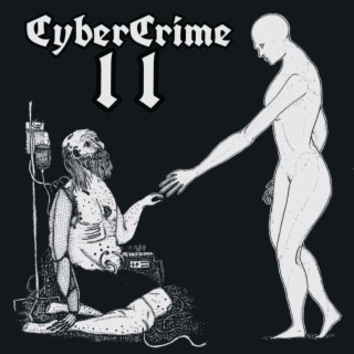 Cybercrime 2