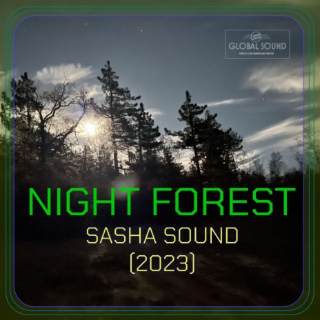 Night Forest