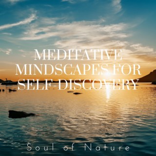 Meditative Mindscapes for Self-Discovery