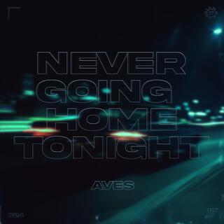 Never Going Home Tonight (Techno)