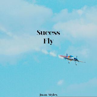 Sucess Fly