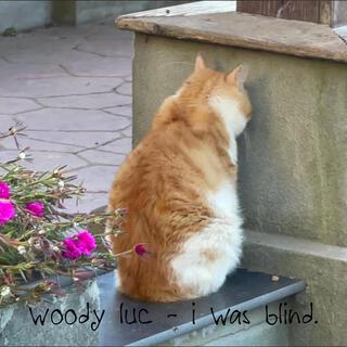 i was blind.