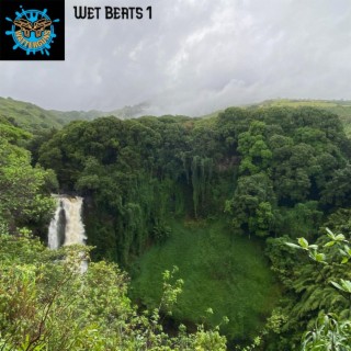 Wet Beats 1