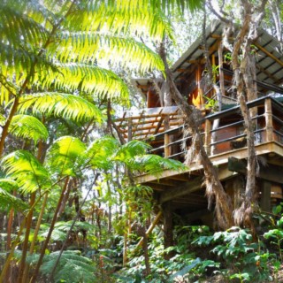 Treehouse in Hawaii (Deluxe)