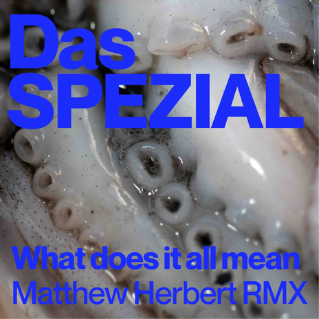 What Does It All Mean ft. Matthew Herbert & Taya Michington