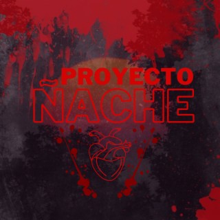 Proyecto Ñache