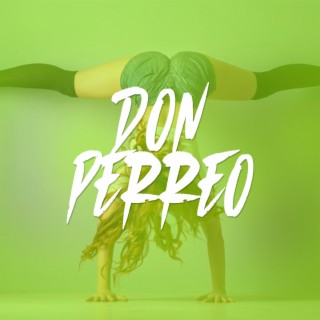 Don Perreo (Reggeaton beat)