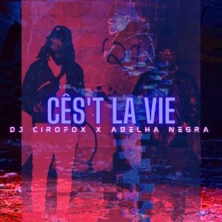 Ces't La Vie