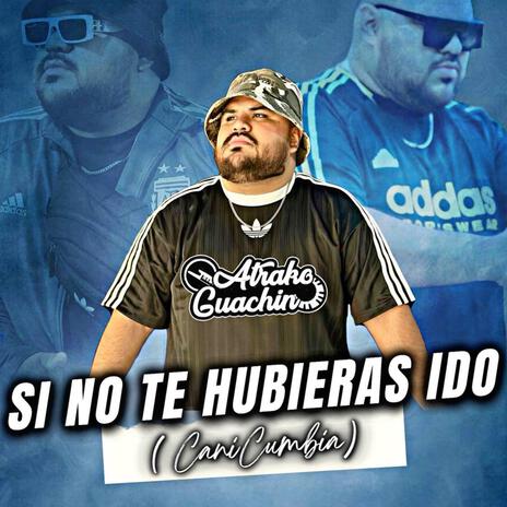 Si No Te Hubieras Ido | Boomplay Music