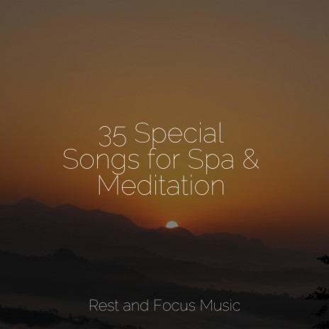 Spa Relaxation - Butterfly Garden MP3 Download & Lyrics