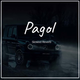 Pagol Slowed Reverb
